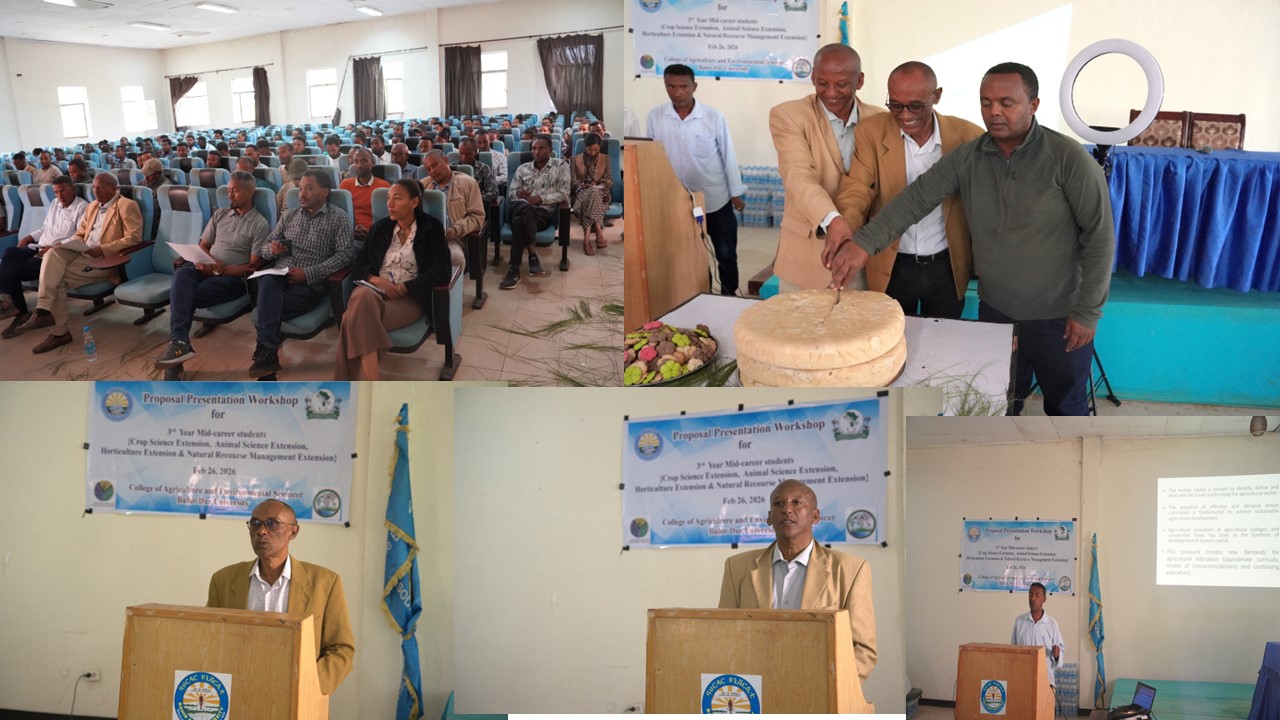 የቦረቦር መሬቶችን ለማዳን ችግኞችን የመትከል ስራ ተደረገ