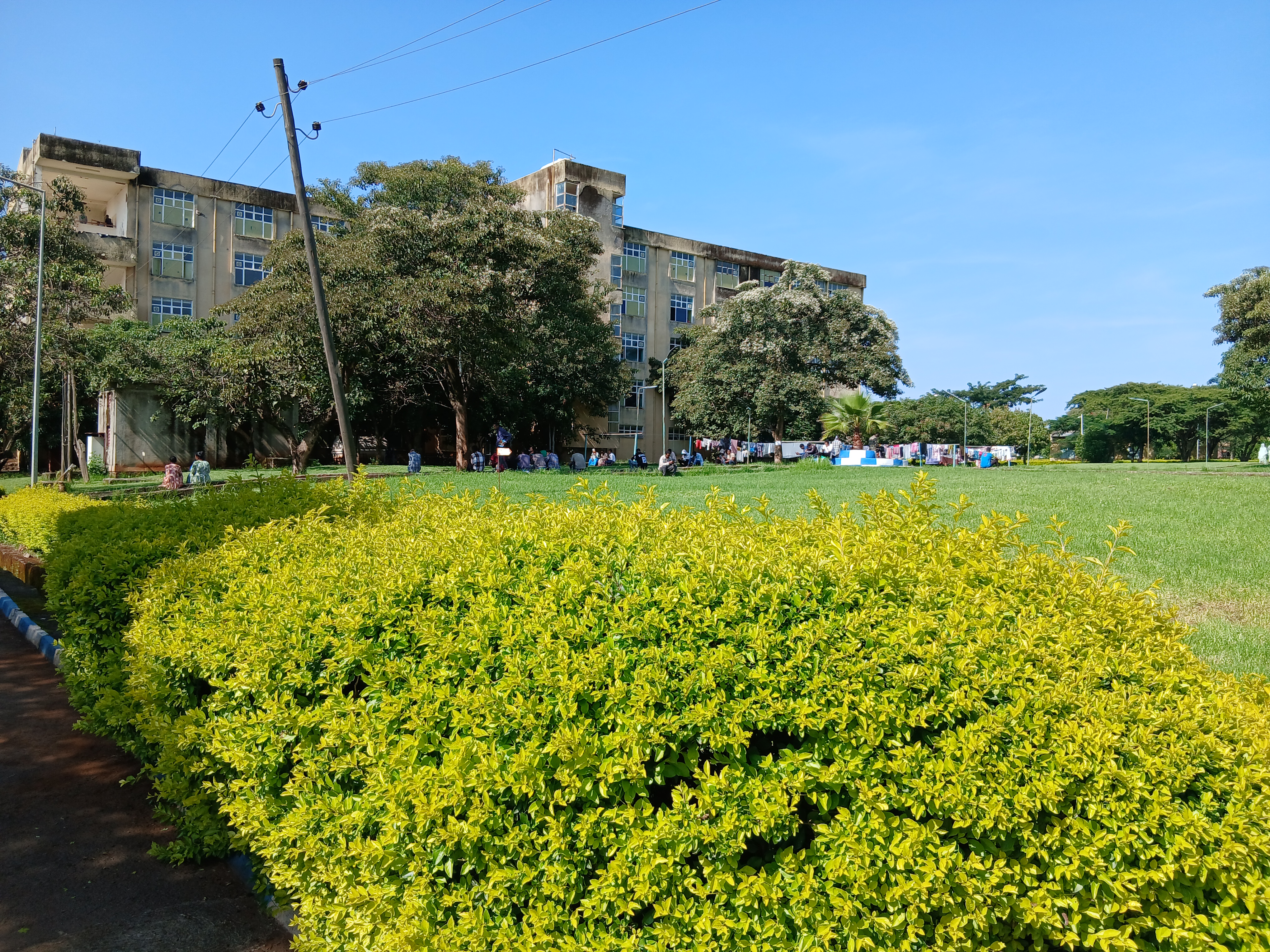 Greening