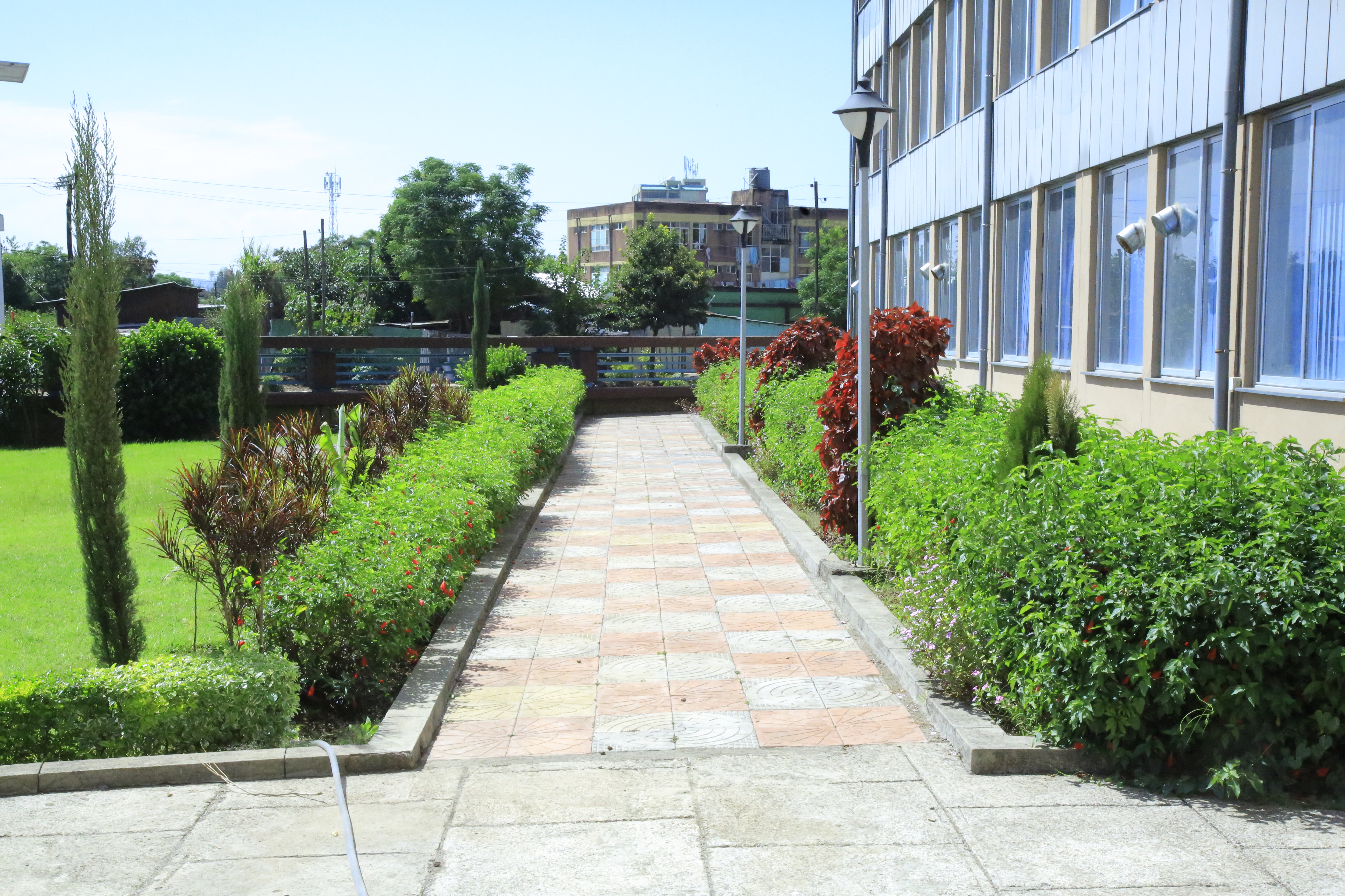 Bahir Dar Institute of Technology Compound