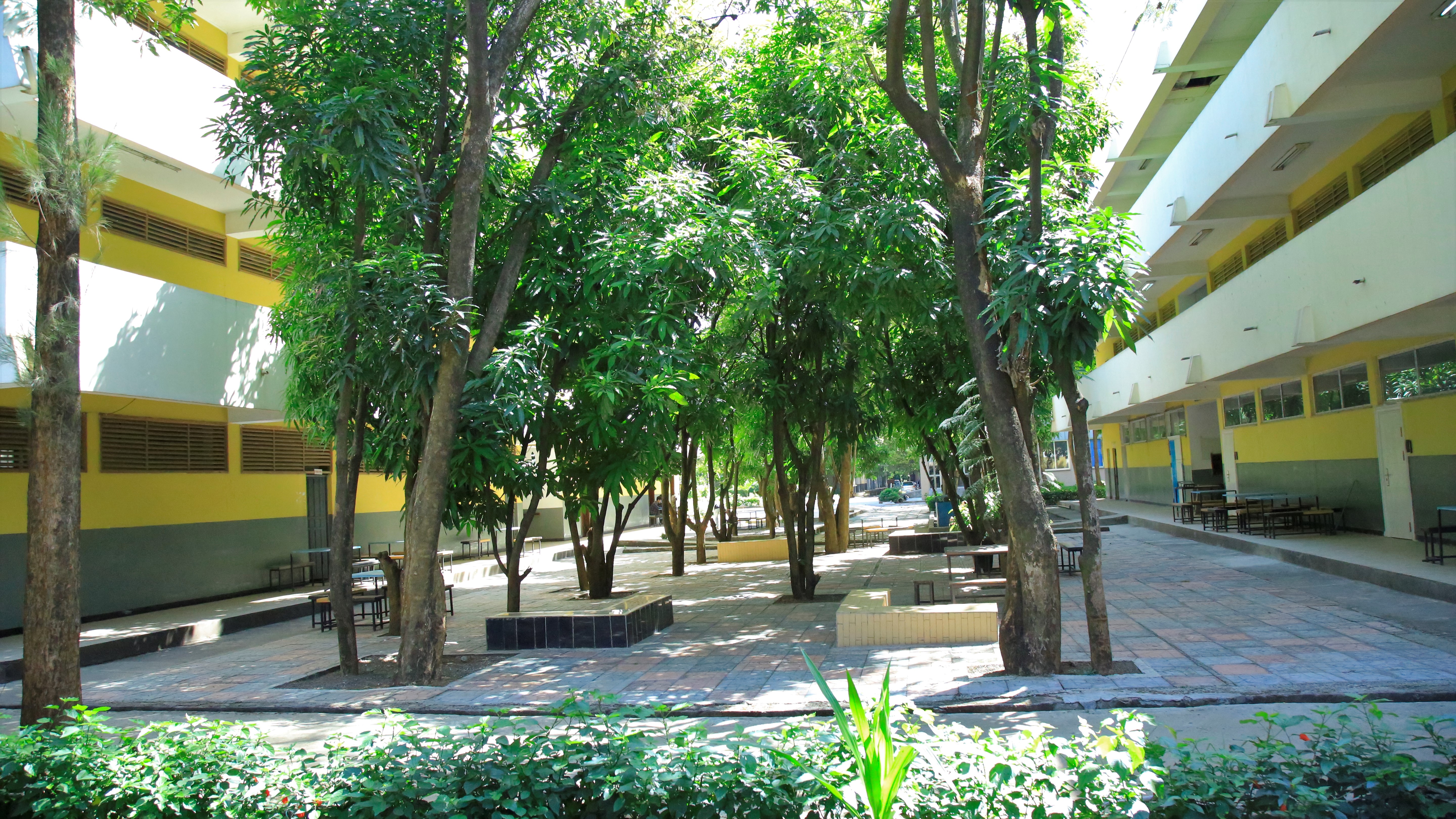 Bahir Dar Institute of Technology Compound