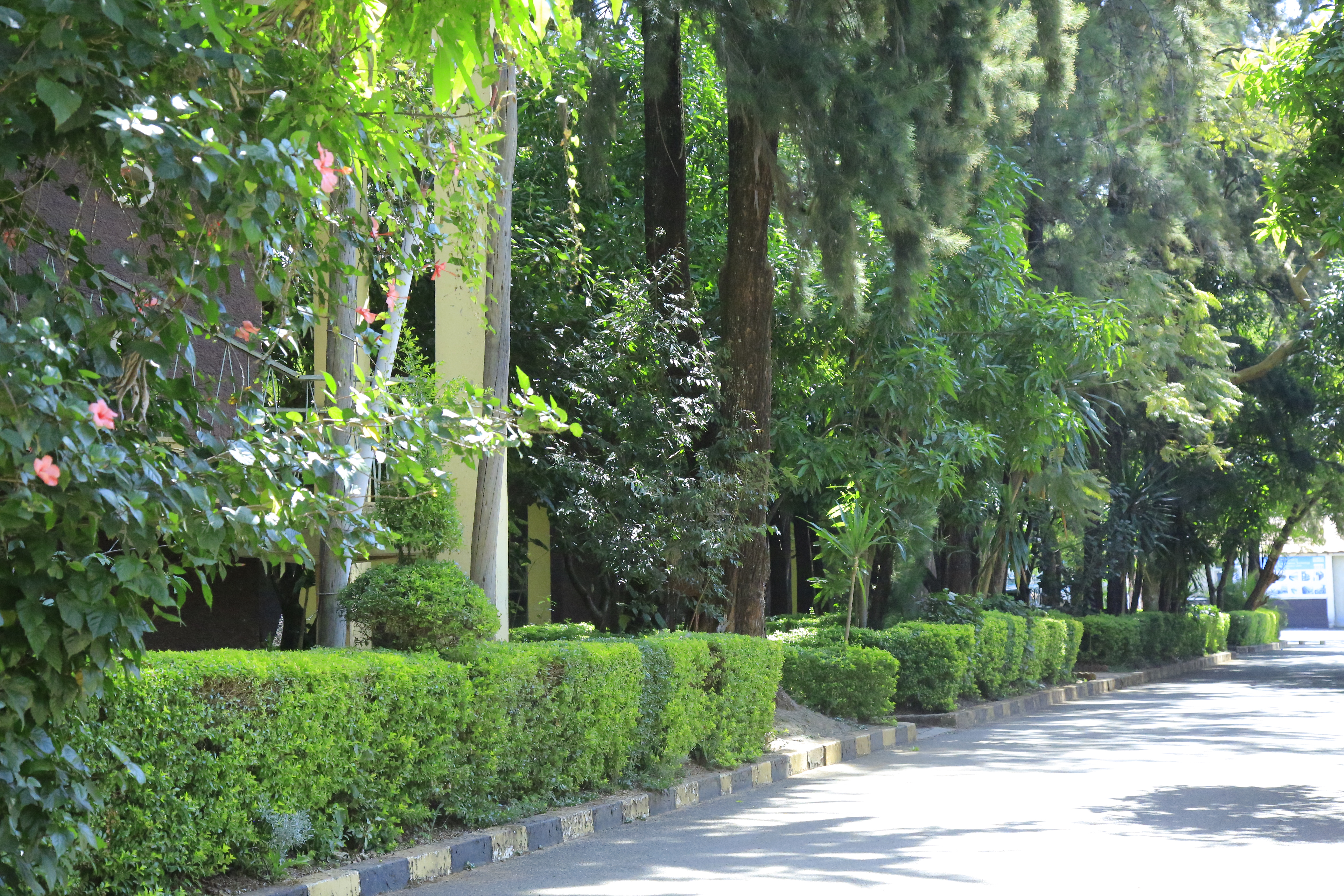 Bahir Dar Institute of Technology Compound
