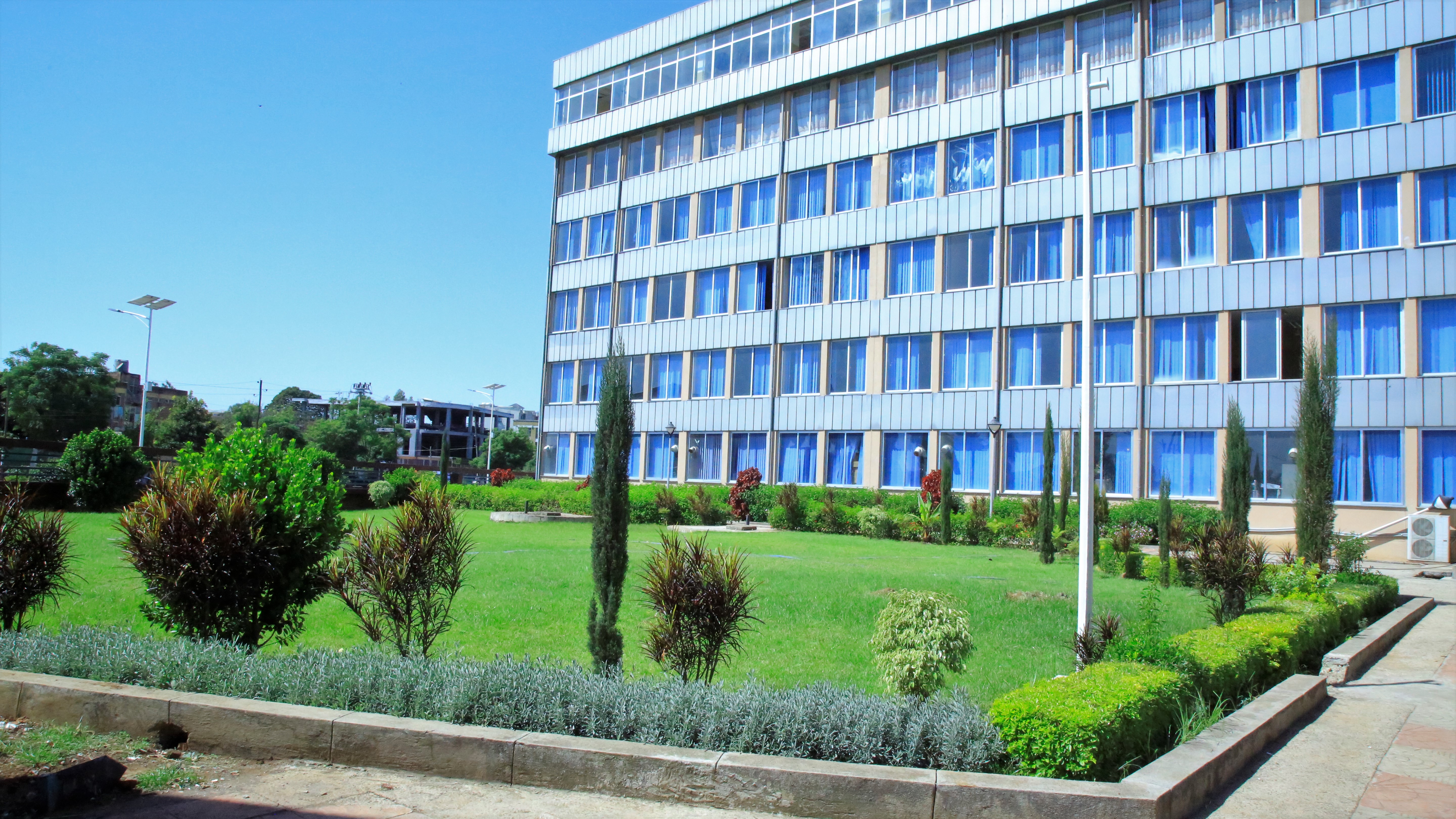 Bahir Dar Institute of Technology Compound