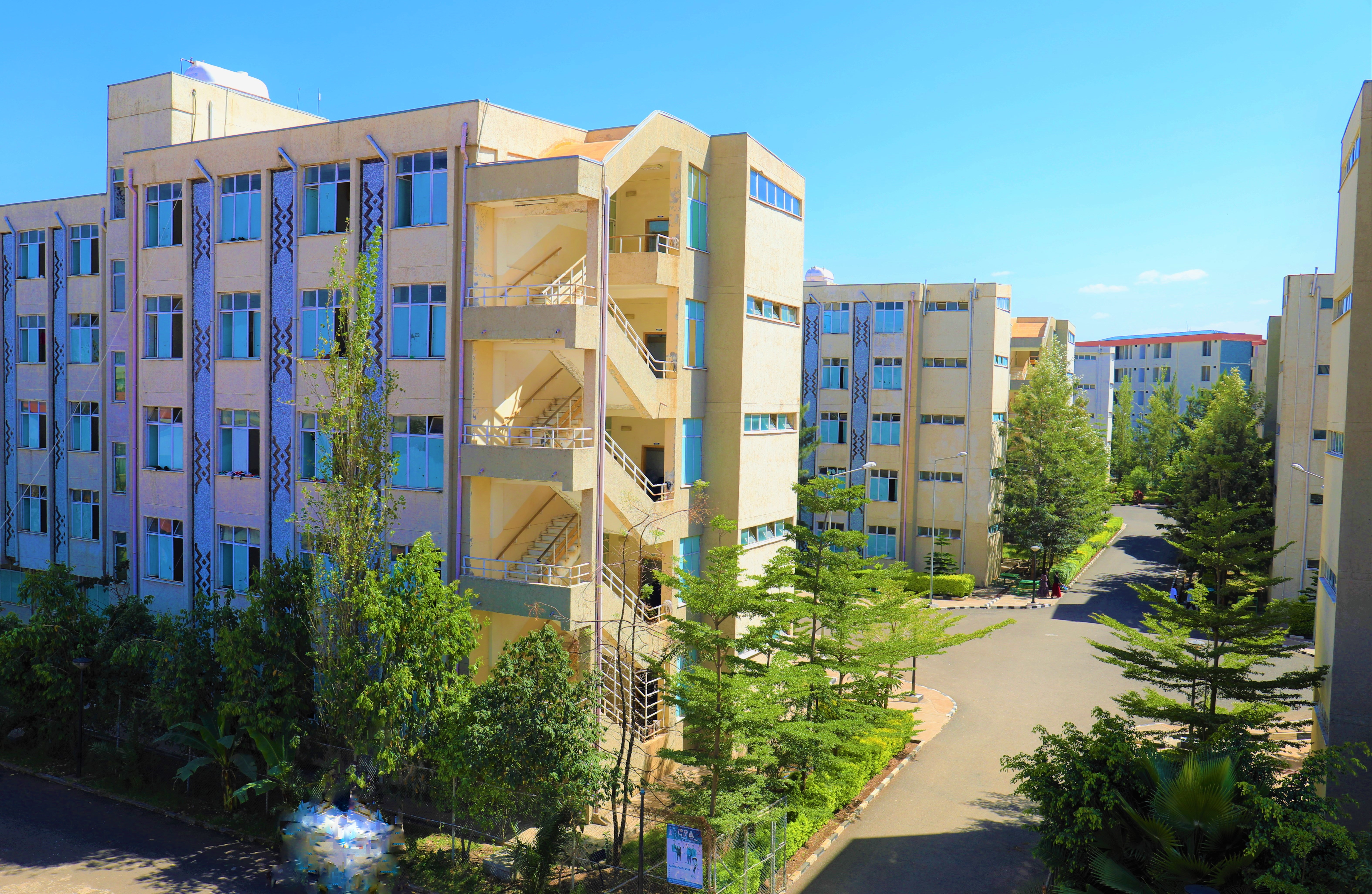 Selam Campus Dormitory