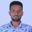 Alehegn Atalay Birlie 