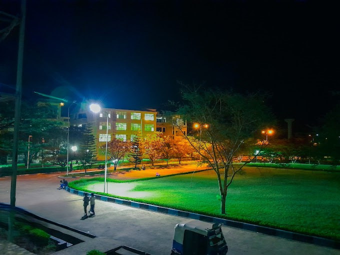 Night View